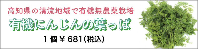 有機にんじんの葉っぱ