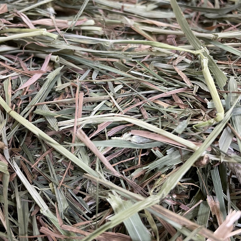 2022/08/26入荷分　粉が多く茶葉も多いが、柔らかい牧草です