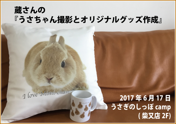 ほのぼのうさちゃん マグカップ スープカップ うさぎ 【全2点】 在庫