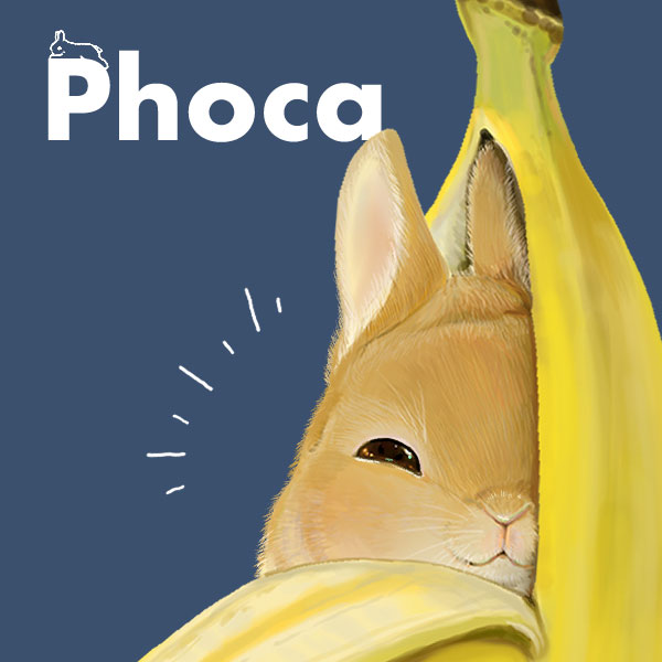 Phoca