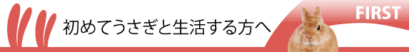 初めてうさぎを飼う方へ