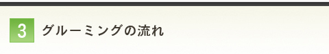 グルーミングの流れ